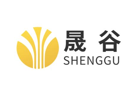 厦门市晟谷信息技术 深耕咨询服务，赋能企业数字化转型