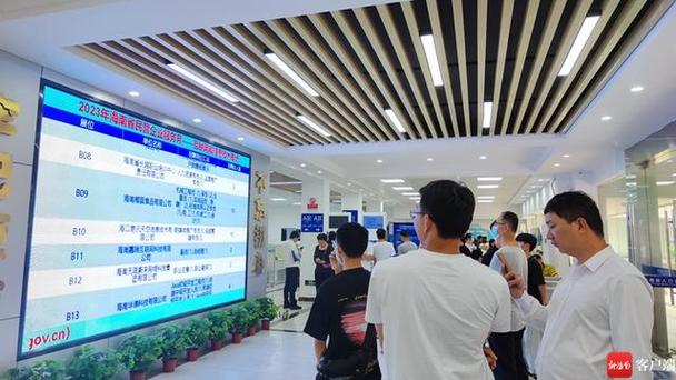 2023年海南省民营企业服务月信息技术咨询服务专场 助力数字转型新篇章
